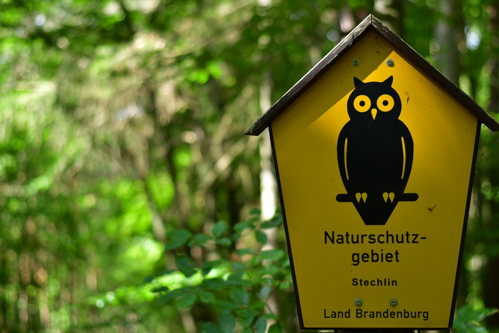 2020-08-23 Fürstenberg/DSC_5170.JPG